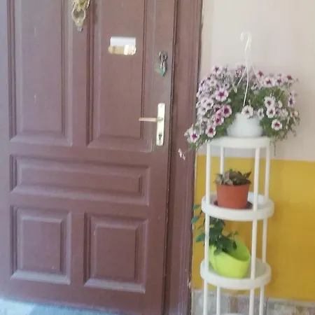 Galeria * סגד